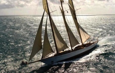 Jaime Botín alega que no quería vender su Picasso sino almacenarlo en Ginebra