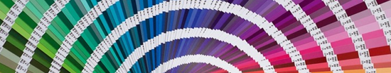 Sistema de identificación cromática Pantone